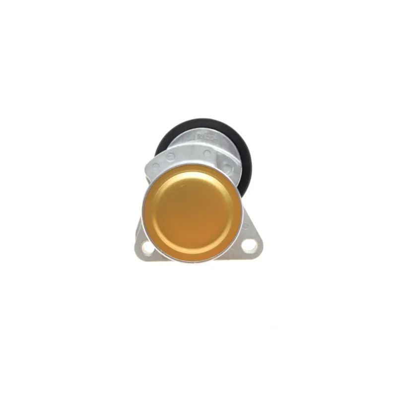 Натяжник ременя генератора INA 534 0128 20 для Ford Mondeo, Galaxy, S-Max, Transit, Volvo S80, V70