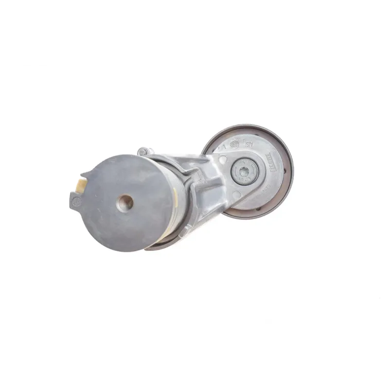 Натяжник ременя генератора INA 534013830 для Skoda Octavia, VW Golf 1.4/1.6 1997-2006 (70x24 мм)