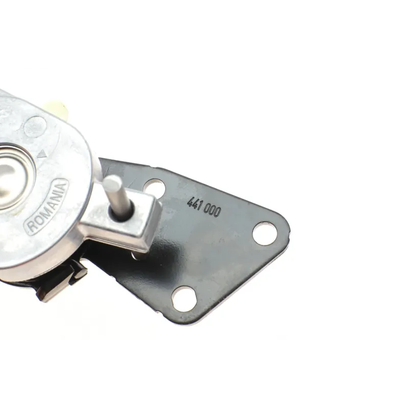 Натяжник ременя генератора INA 534015010 для Skoda Fabia/Roomster 1.9TDI/SDI 1999-2010, 70x24 мм