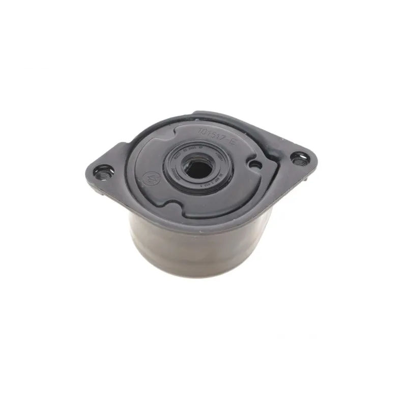 Натяжник ременя генератора INA 534 0170 10 для BMW 3 E46/E90, 5 E60/E61, X3 E83, X5 E53