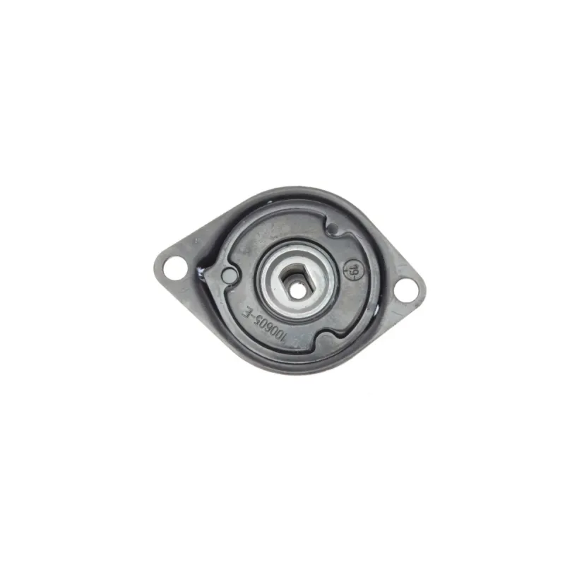 Натяжник ременя генератора VW T4 2.4D/2.5TDI, 90-03
