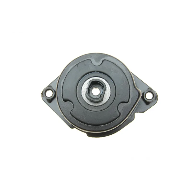 Натяжник ременя генератора INA 534023910 для BMW 3 (E46) 320d/330d, 5 (E39) 520d/530d, 65.5x42 мм