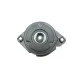 Натяжник ременя генератора INA 534023910 для BMW 3 (E46) 320d/330d, 5 (E39) 520d/530d, 65.5x42 мм