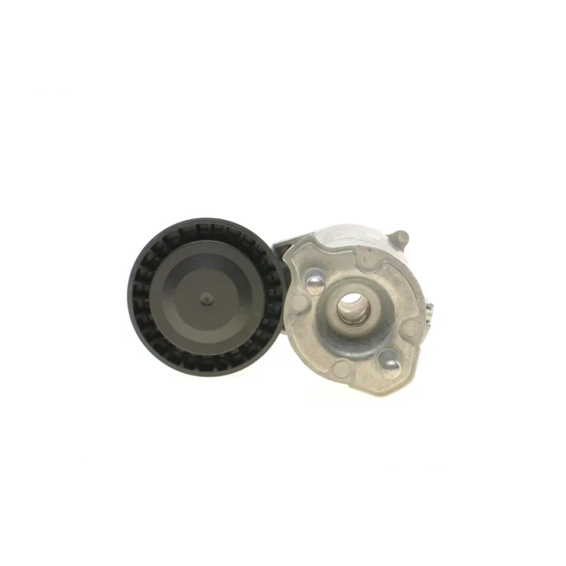 Натяжник ременя генератора INA 534 0273 10 для Ford Kuga, Volvo C70, Focus II, 65 мм