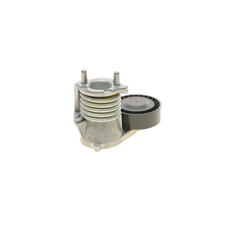 Натяжник ременя генератора INA 534 0273 10 для Ford Kuga, Volvo C70, Focus II, 65 мм