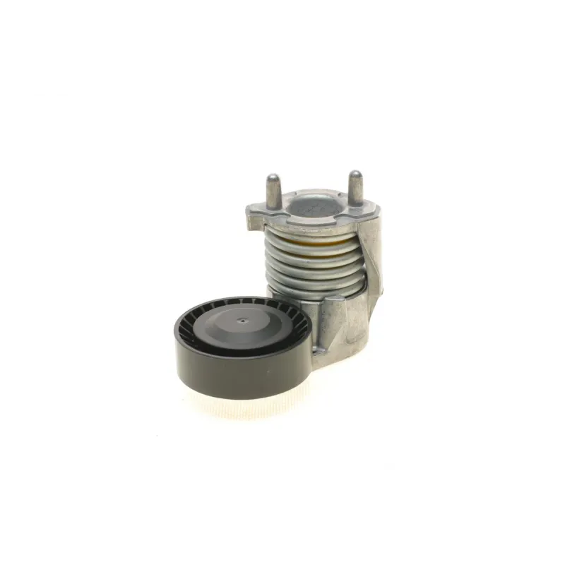 Натяжник ременя генератора INA 534 0273 10 для Ford Kuga, Volvo C70, Focus II, 65 мм
