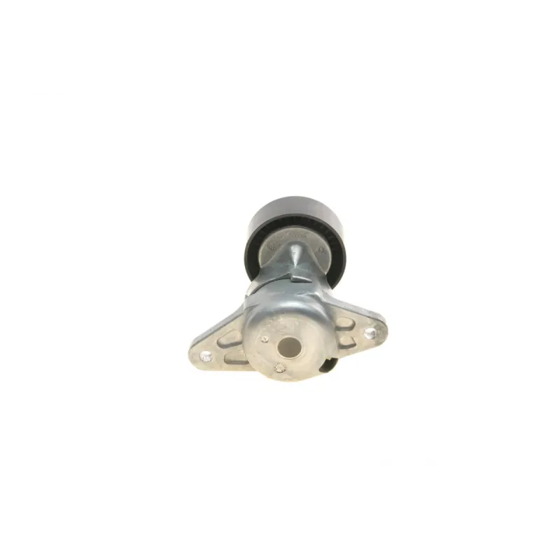 Натяжник ременя генератора MB E-class (W211)/S-class (W220) 00-08