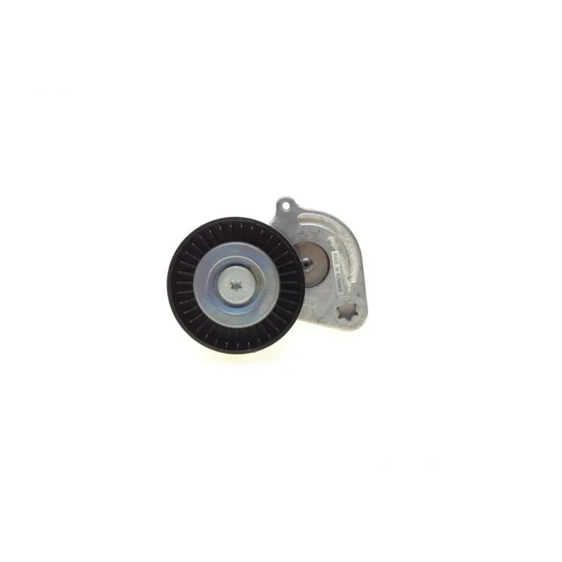 Натяжник ременя генератора INA 534 0370 10 для Mercedes-Benz Sprinter 906 216/316/516 NGT 2008-2018, 76x28 мм