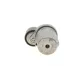 Натяжник ременя генератора INA 534 0402 10 для BMW X3 E83, X5 E70, 5 F10, 55 мм