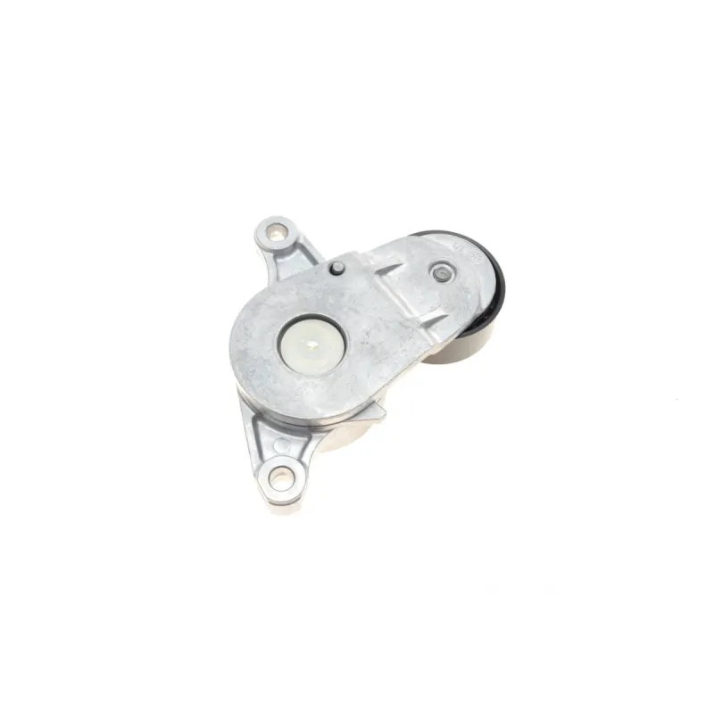 Натяжник ременя генератора INA 534 0420 10 для Toyota Avensis, Mini Cooper D 1.6/2.0 DI-D 08-, зовнішній діаметр 55 мм
