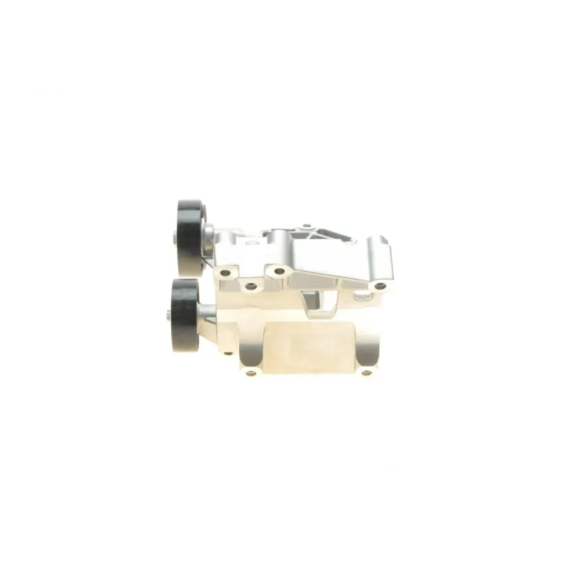 Натяжник ременя генератора INA 534043110 для Mercedes-Benz A-Class W169 2004-2012