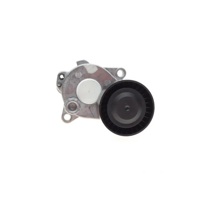 Натяжник ременя генератора INA 534 0592 10 для Mercedes-Benz Vito (W447) OM651 2014-, діаметр 65 мм