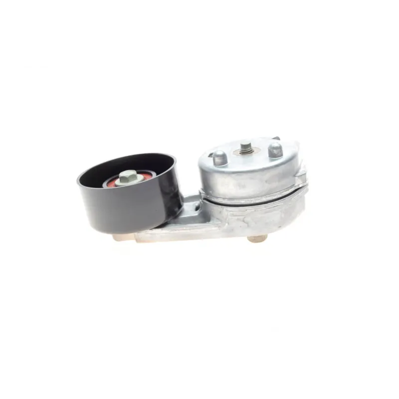 Натяжник ременя генератора INA 534059710 для Land Rover Range Rover III (LM) 4.4 2005-2012, 76 мм
