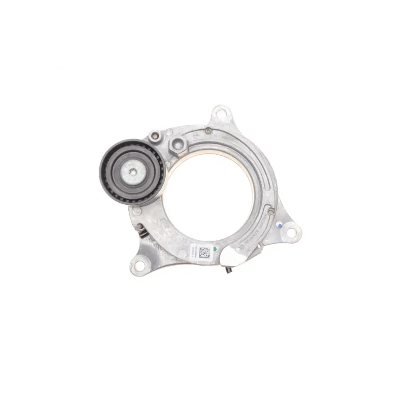 Натяжник ременя генератора INA 534 0598 10 для BMW 3 (F30/F80) / 5 (G30/F90) / 7 (G11/G12) / X5 (G05/F96) 2015-, 55 мм