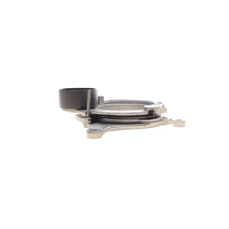 Натяжник ременя генератора INA 534 0598 10 для BMW 3 (F30/F80) / 5 (G30/F90) / 7 (G11/G12) / X5 (G05/F96) 2015-, 55 мм