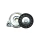 Натяжник ременя генератора Volvo S60/S80/XC60 07-