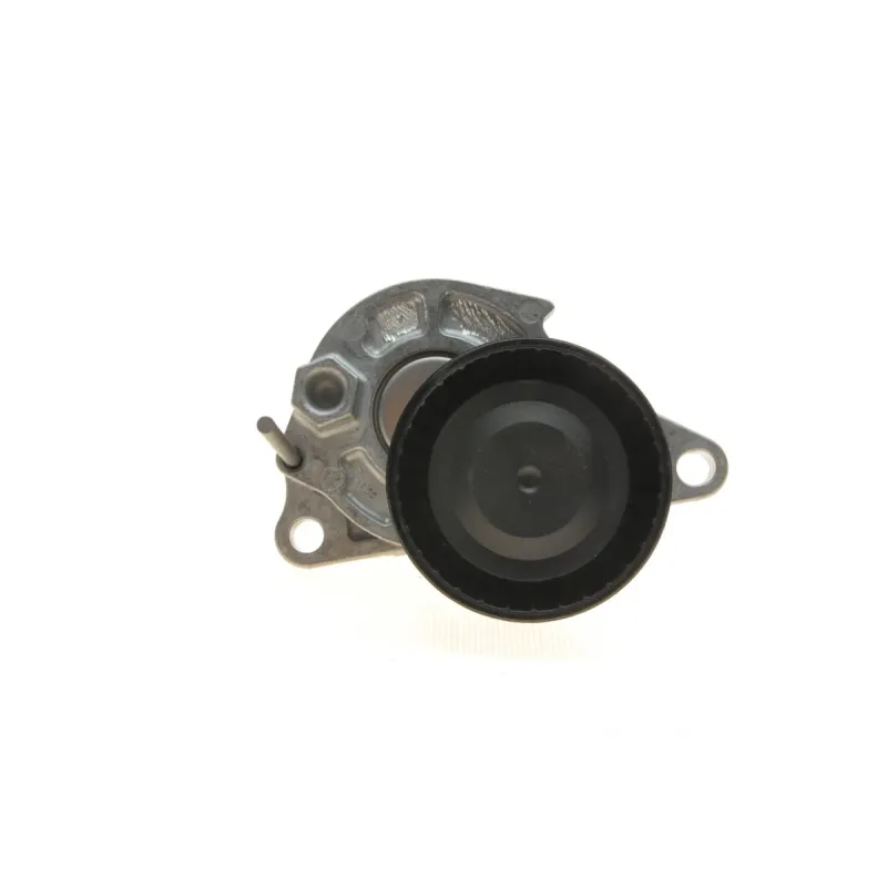 Натяжник ременя генератора INA 534 0624 10 для Renault Megane/Trafic III 1.6dCi, Mercedes-Benz Vito W447 1.6CDI, 65x30 мм