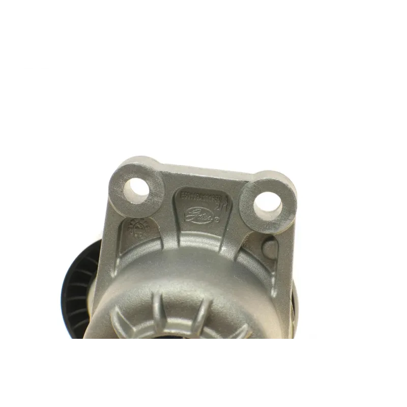 Натяжник ременя генератора Citroen C4/C5/Peugeot Expert 2.0 HDi 09-
