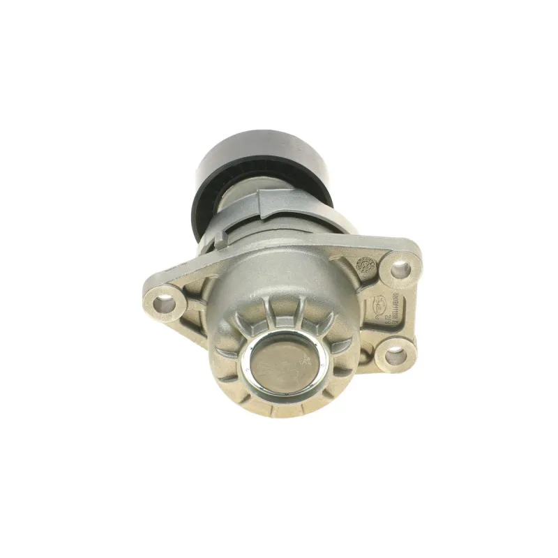 Натяжник ременя генератора Citroen C4/C5/Peugeot Expert 2.0 HDi 09-