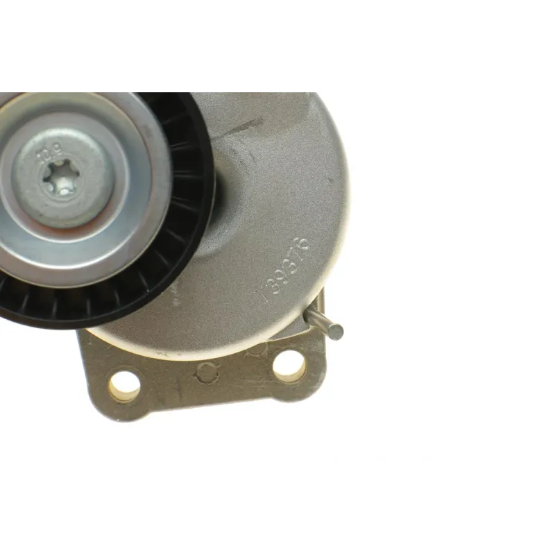 Натяжник ременя генератора Citroen C4/C5/Peugeot Expert 2.0 HDi 09-