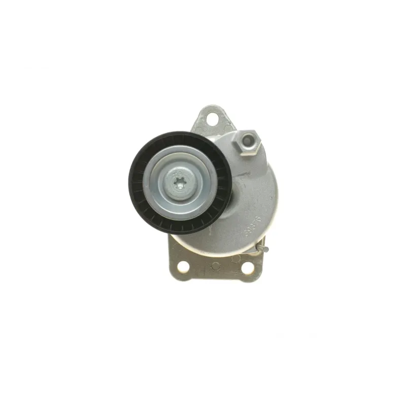Натяжник ременя генератора Citroen C4/C5/Peugeot Expert 2.0 HDi 09-