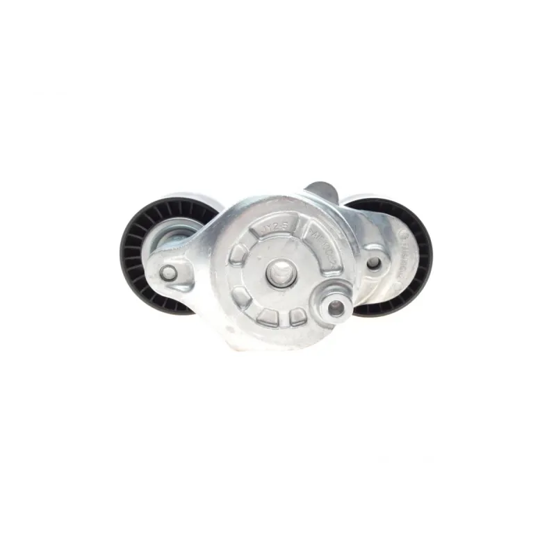 Натяжник ременя генератора INA 534069610 для Land Rover Range Rover Evoque, Discovery Sport, Jaguar E-Pace 2.0D