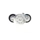 Натяжник ременя генератора INA 534069610 для Land Rover Range Rover Evoque, Discovery Sport, Jaguar E-Pace 2.0D
