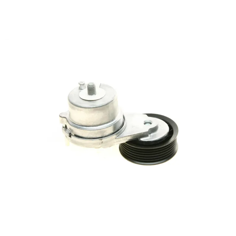 Натяжник ременя генератора INA 534 0703 10 для Chevrolet Captiva 2.0/2.2D 2010-, Opel Antara 2.2D, 72x25.5 мм