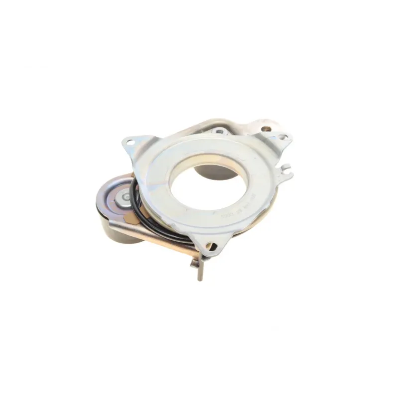 Натяжник ременя генератора INA 534 0793 10 для Mercedes-Benz E-Class W213 E260/E350 L EQ Boost 4-matic 2019- (Mild Hybrid), 60x31 мм