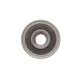 Шків генератора INA 535018310 для BMW 1 (E81/E87/E88), 3 (E46/E90/E91) 1.6-3.5i (6 канавок)