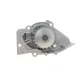 Помпа води Fiat Scudo/Ducato/Citroen Jumpy/Berlingo 1.9D/2.0HDi