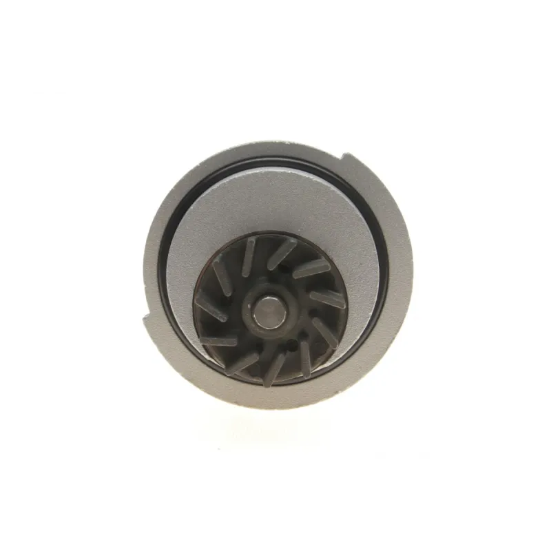 Помпа води INA 538007310 для Daewoo Lanos 1.4/1.5, Chevrolet Aveo 1.2/1.5 (z=19)