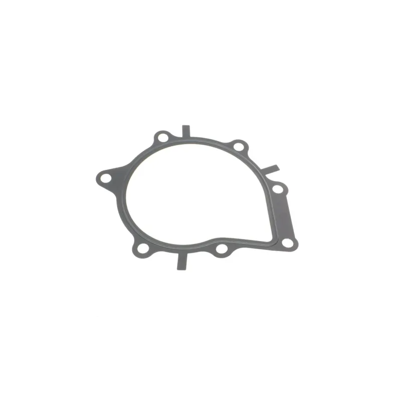 Помпа води INA 538007710 для Citroen Jumper/Peugeot Expert 2.0 BlueHDi 2015-, 19 зубців