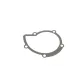 Помпа води Citroen C4/C5/C8/Jumpy/Fiat Scudo/Peugeot 308/407/508/Ford Focus/Mondeo 2.0HDi/TDCi 09-
