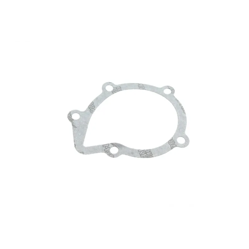 Насос водяний INA 538 0151 10 для Fiat Ducato, Peugeot Boxer, Citroen Jumper 1.9D/TD
