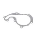 Помпа води Ford Connect 1.8DI/TDCI, 55/66/81kw 02- з двойним шківом