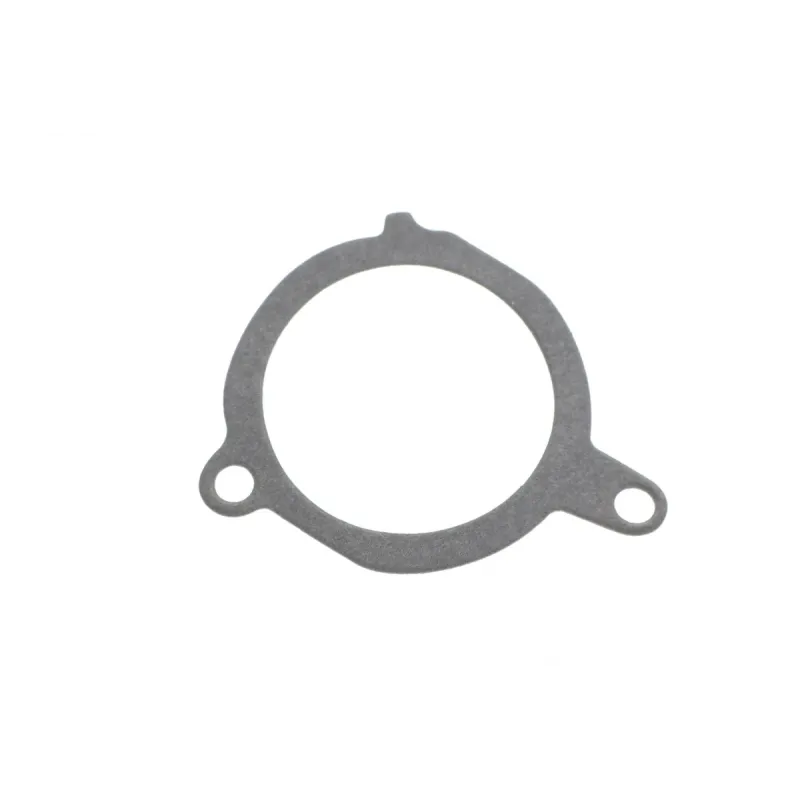 Помпа води INA 538028910 для Ford Fiesta, KA, Mazda 121 1.3i