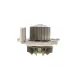 Помпа води Citroen Jumpy/Fiat Scudo/Peugeot Partner 2.0HDI 02-, ((DW10)