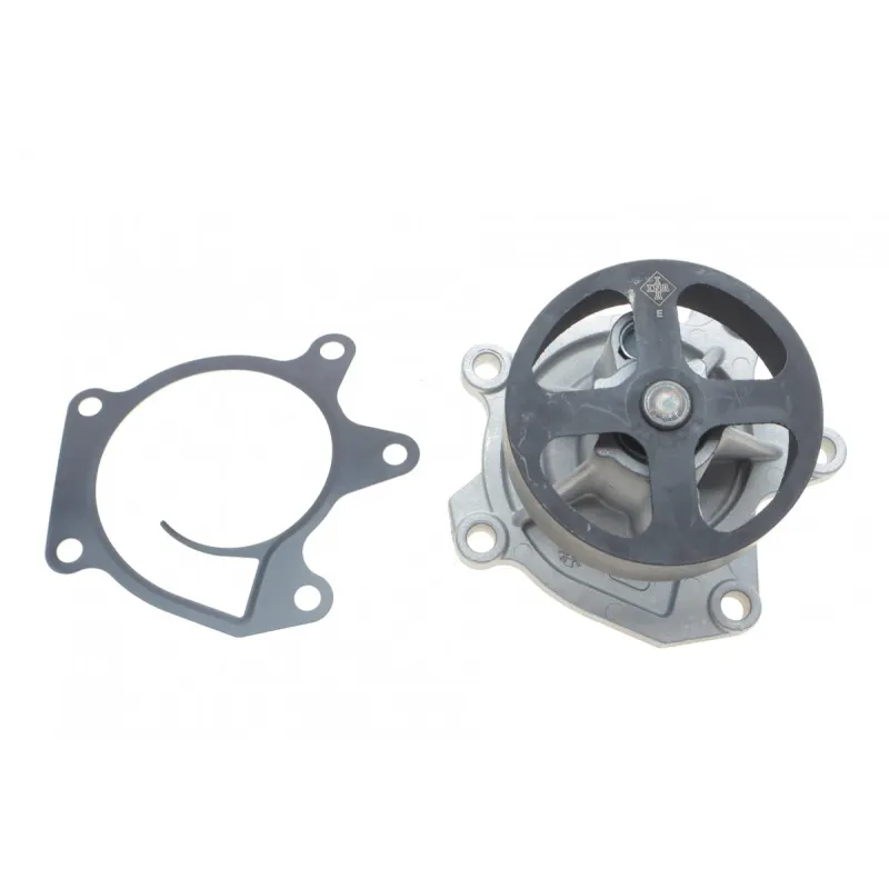 Помпа води INA 538052210 для Nissan Juke, Qashqai, X-Trail 1.6 DIG-T