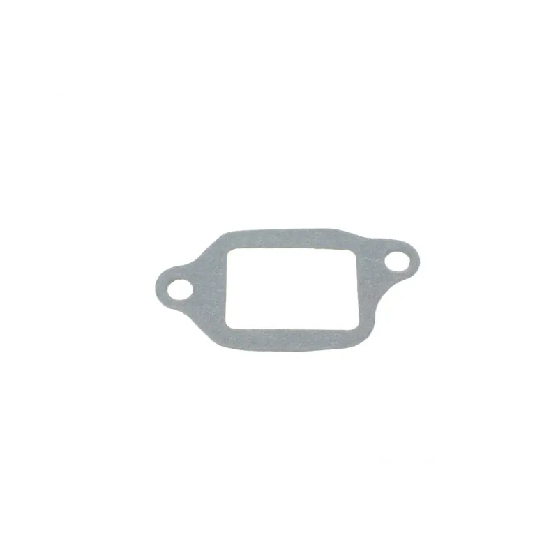 Помпа води INA 538 0700 10 для Lexus GS/LS, Toyota Land Cruiser/Sequoia, 4.0-4.7L