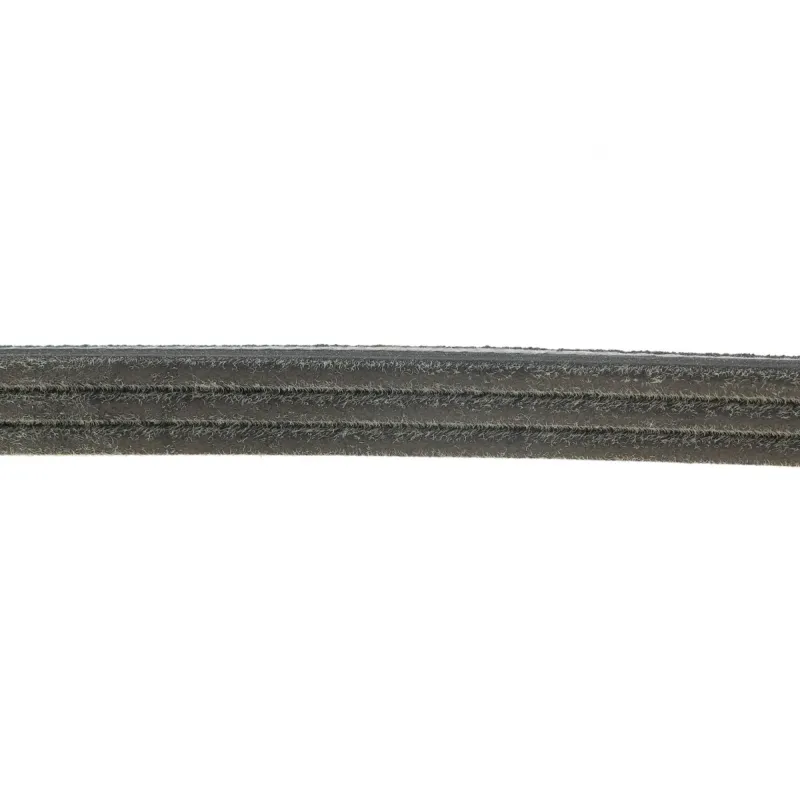 Ремінь генератора INA FB 3EPK576 для Citroen C3/C4, Peugeot 208/308 1.2 THP 576 мм