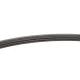 Ремінь генератора Renault Megane/Scenic 1.4i/1.6i, 96-03, (K7M/E7J)