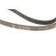 Ремінь генератора RENAULT Kangoo/Clio II 1.4i/1.6 97-