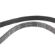 Ремінь генератора Citroen Jumper 2.8HDI 00-/Honda Accord 1.9-2.0 93-98/ Toyota Carina 2.0 96-97