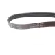 Ремінь генератора INA 5PK865 для BMW 3 (E46) 1998-2005, 5 (E39) 1995-2003, 7 (E38) 1995-2001