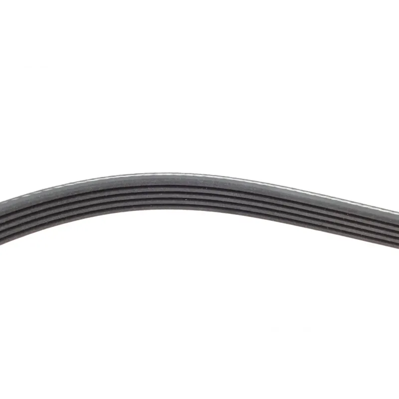 Ремінь генератора INA 5PK865 для BMW 3 (E46) 1998-2005, 5 (E39) 1995-2003, 7 (E38) 1995-2001