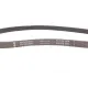 Ремінь генератора Citroen Berlingo 1.1-1.4 96-/ Subaru Forester/ Impreza/ Legacy 1.6-2.5 92-09