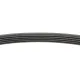 Ремінь генератора INA FB 5PK884 для Ford Mondeo 1.8 TD 1993-2000, Toyota RAV4 2.0 D-4D 2001-2005, 884 мм