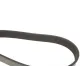 Ремінь генератора INA FB 6PK1495 для Citroen Xantia 3.0 V6 1997-2003, Mitsubishi L200 2.5 DI-D 2005-2015, довжина 1495 мм