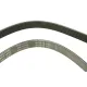 Ремінь генератора INA FB 6PK1653 для Ford Escort, Renault Laguna, VW Golf II, Passat B3/B4, 1653 мм